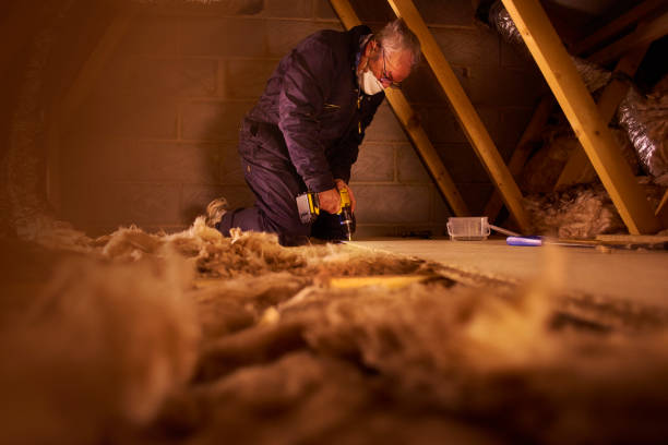 Best Eco-Friendly Insulation in Elizabeth, NJ